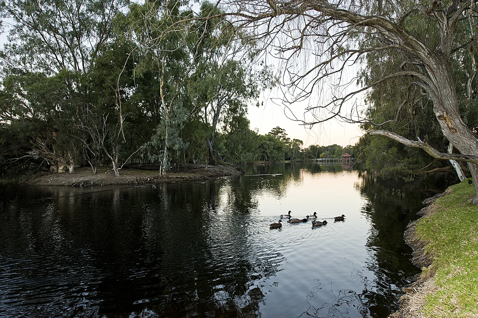 Additional image 13 of 406 Belgravia Street, Cloverdale WA 6105