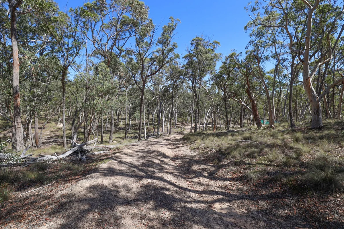 Additional image 6 of 494 Jerralong Road, Oallen NSW 2622