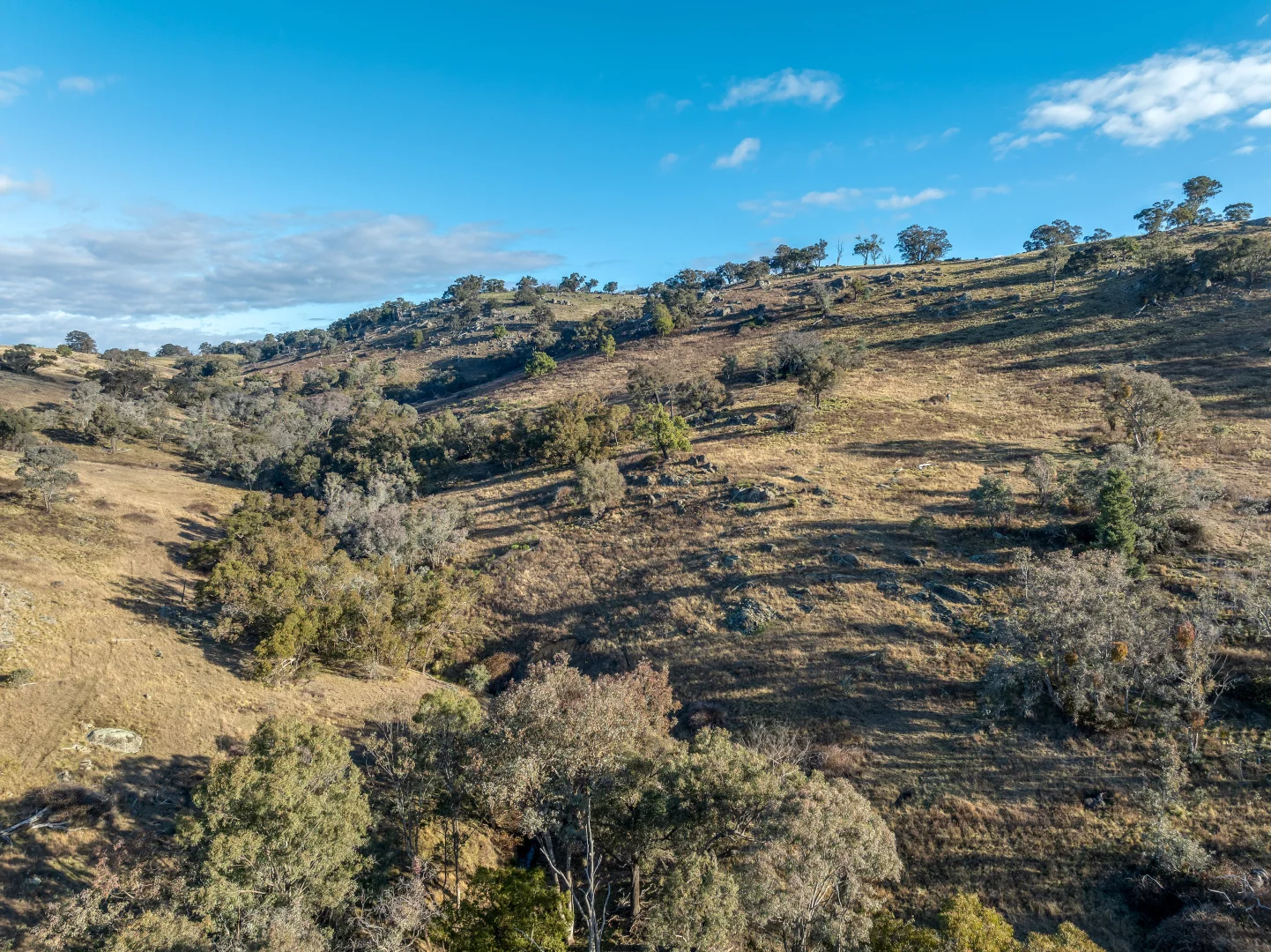 Additional image 6 of 498 (LOT A) Decca Road, Bigga NSW 2583