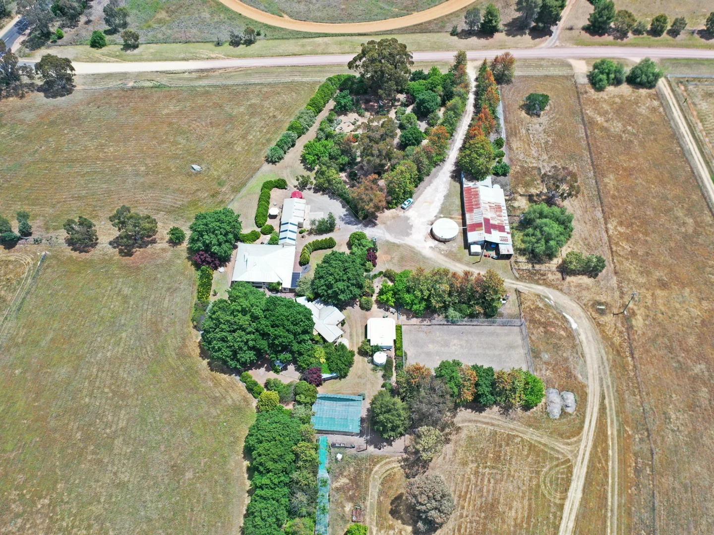 Additional image 45 of 20 Quamby SS Road, Young NSW 2594