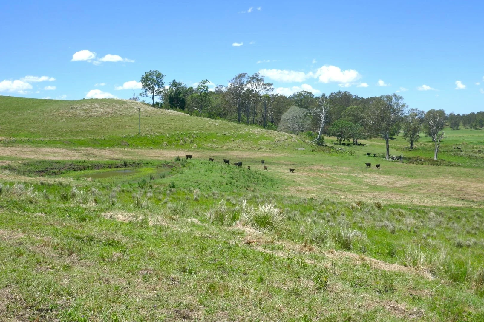 Additional image 14 of 600 Old Dyraaba Road, Casino NSW 2470