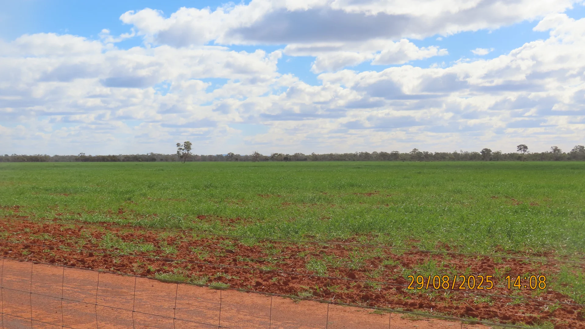 Additional image 3 of * Gilgunnia Station, 3240 Mulya Road, Cobar NSW 2835