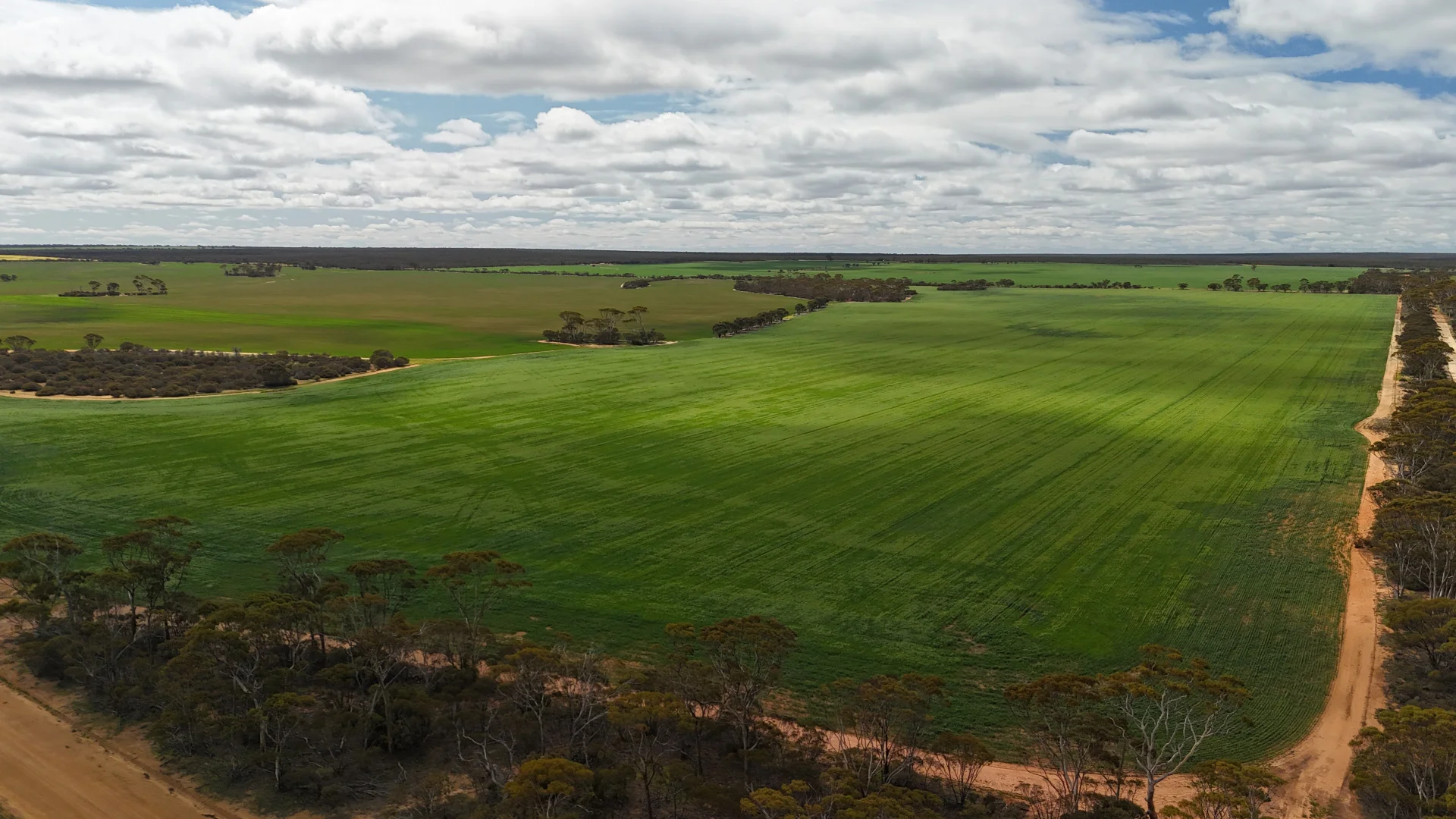 Additional image 6 of 3279 Calzoni Road, Hyden WA 6359