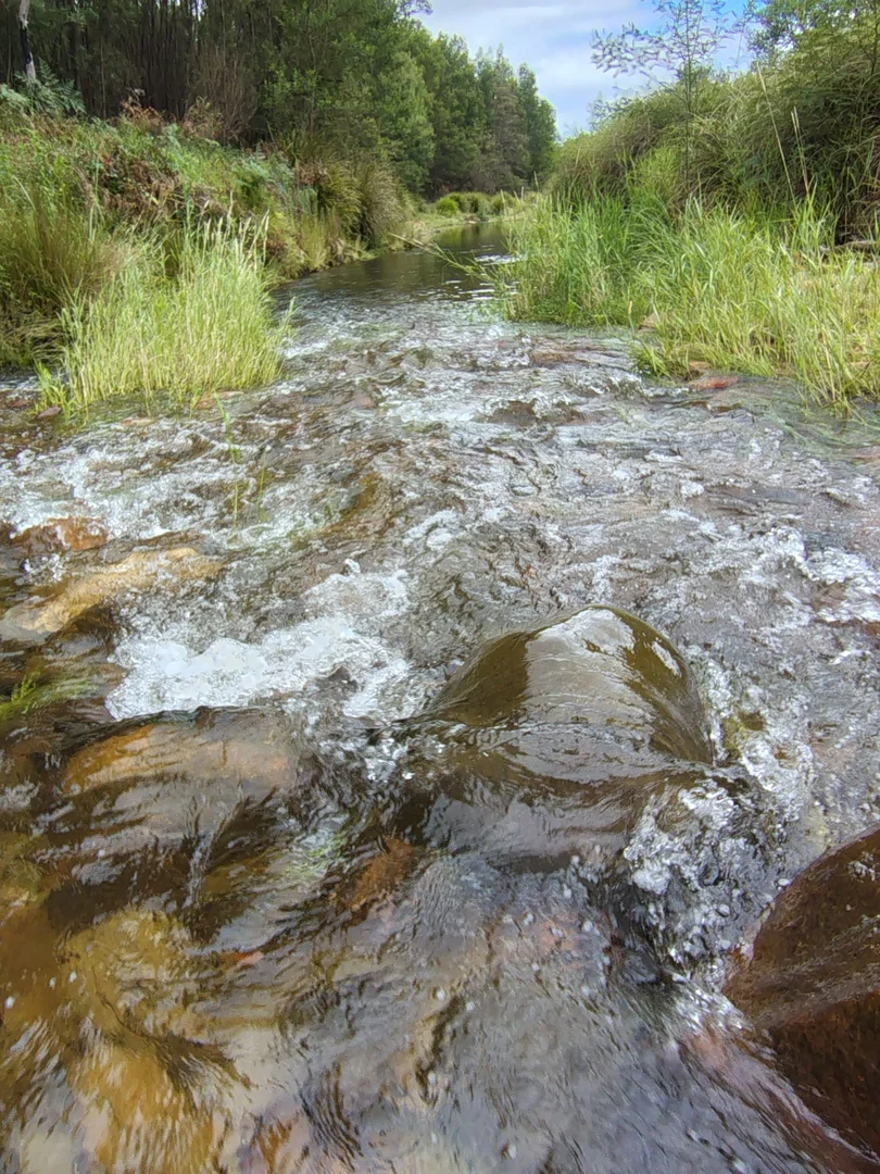 Additional image 42 of 115 Gulph Creek Road, Nerrigundah NSW 2545