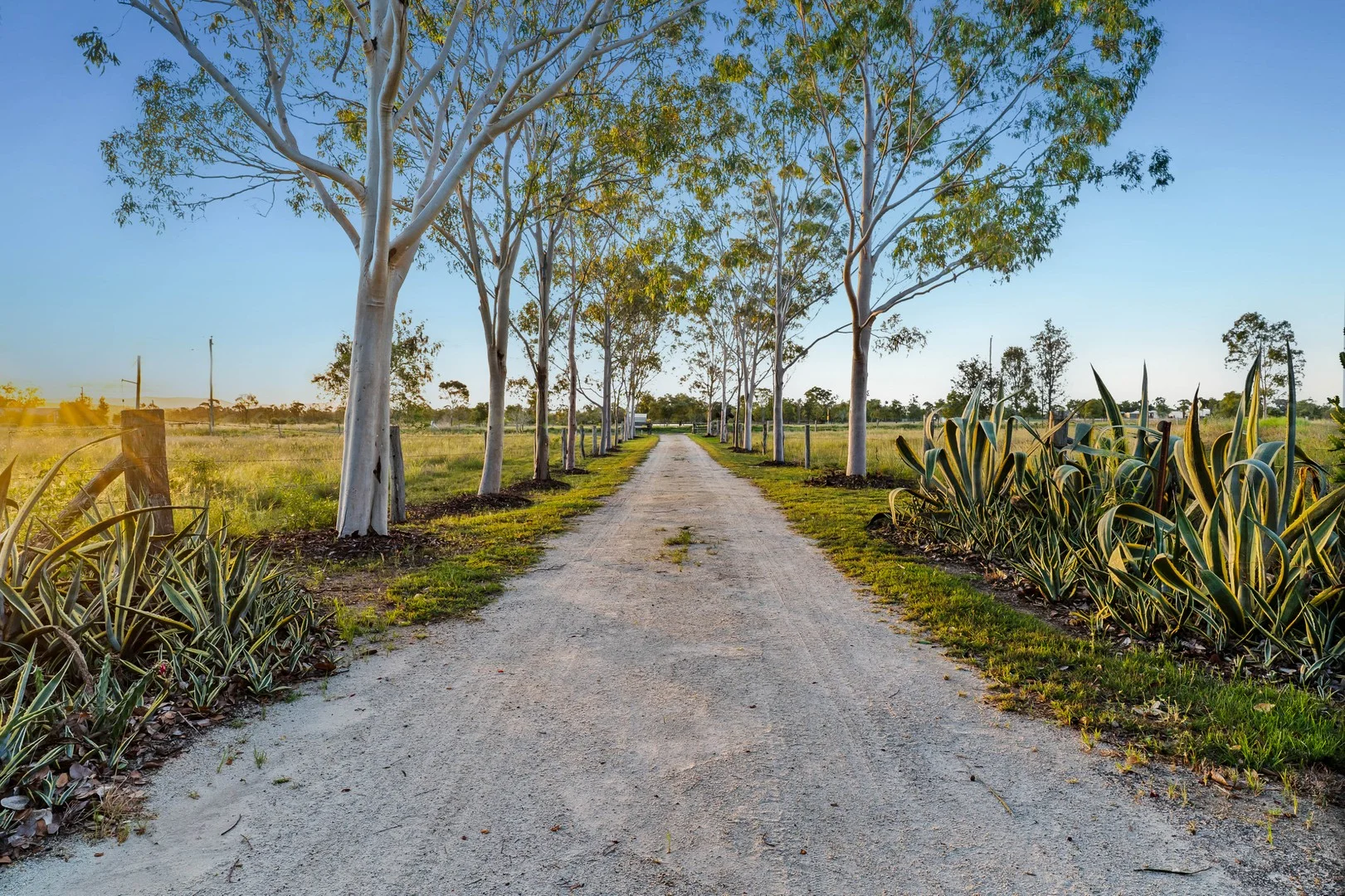 Additional image 26 of 106 South Yaamba Road, Alton Downs QLD 4702