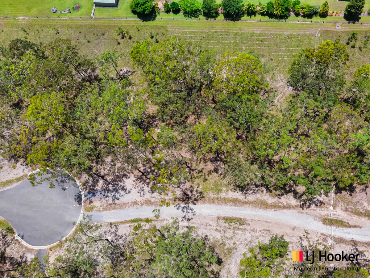 Additional image 4 of 59 Bloodwood Grove, Gulmarrad NSW 2463