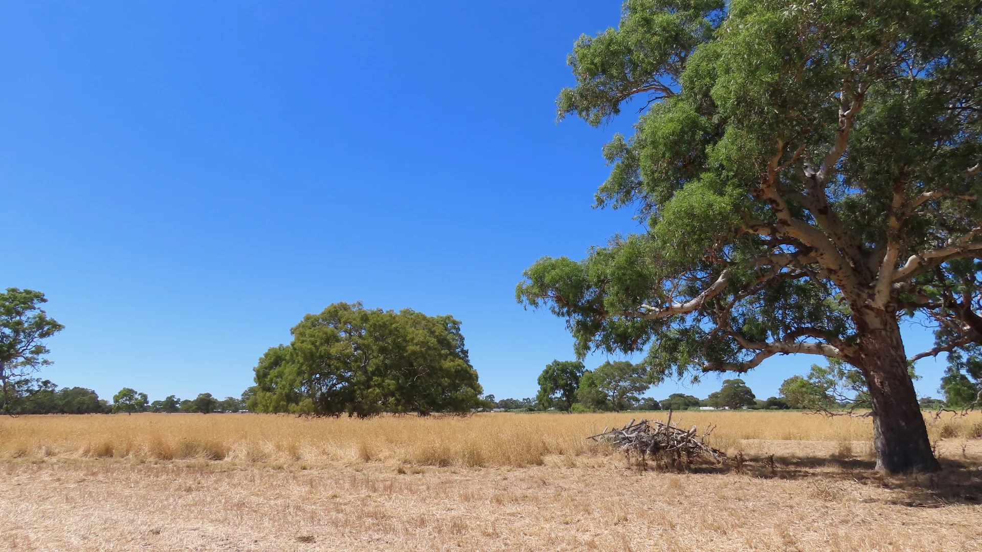 Additional image 21 of 8283 Clay Wells Rd, Penola SA 5277