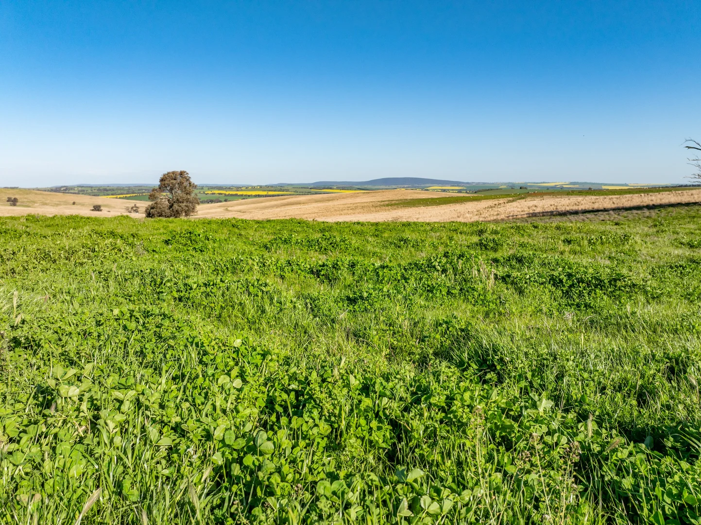 Additional image 21 of Bumbaldry Road, Greenethorpe NSW 2809