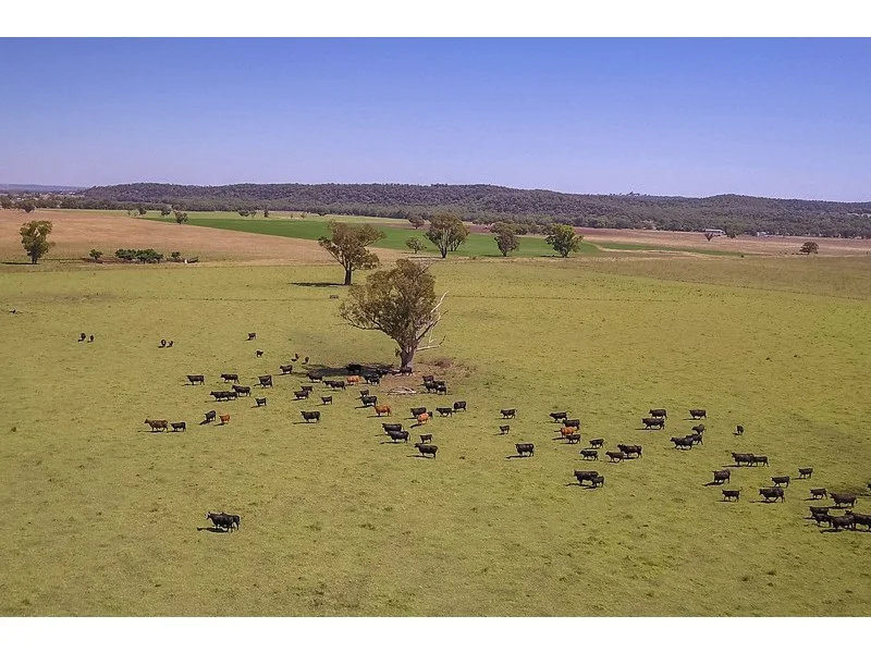 Additional image 11 of 2824 Neilrex Road, Neilrex NSW 2831