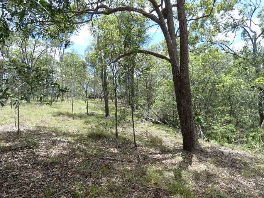 Additional image 13 of Lot 41 Moolyung Road, Waterloo QLD 4673