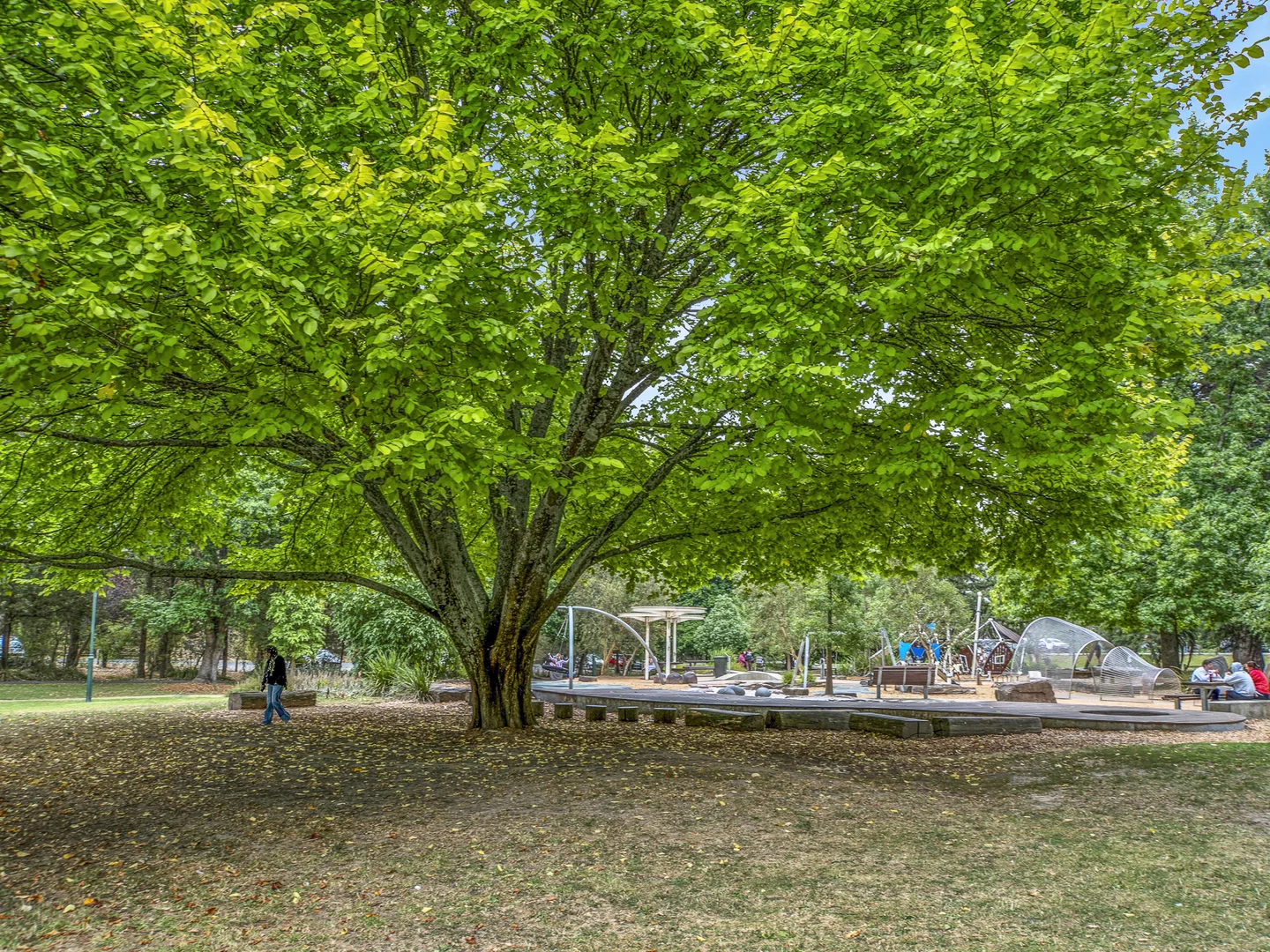 Additional image 7 of 2A Badger Creek Road, Healesville VIC 3777