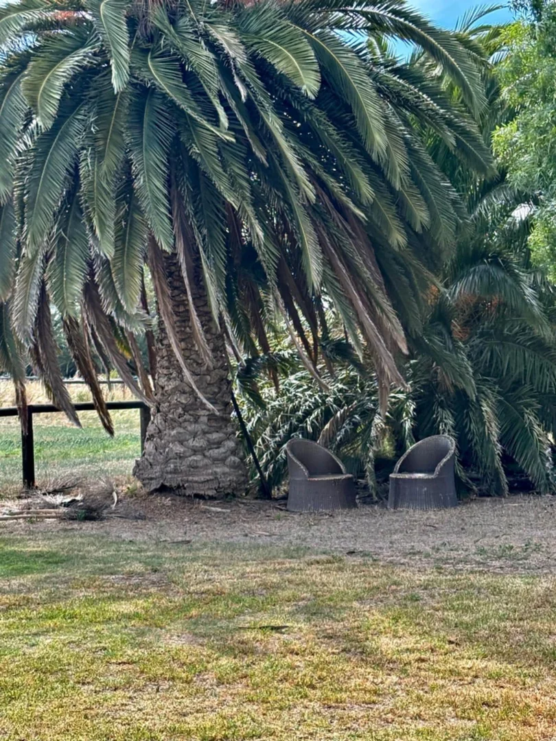 Additional image 47 of 674 Singer Road, Bamawm VIC 3561