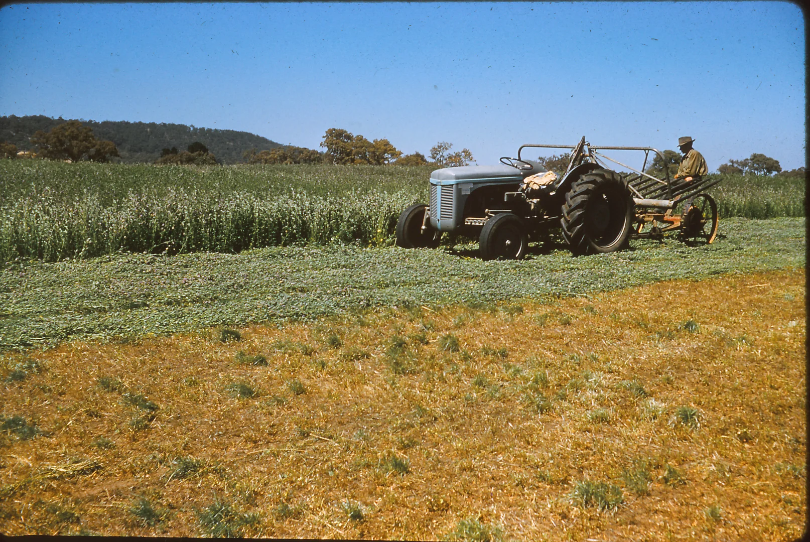 Additional image 20 of Lot 20 & 21 Newman Road, Charleston SA 5244