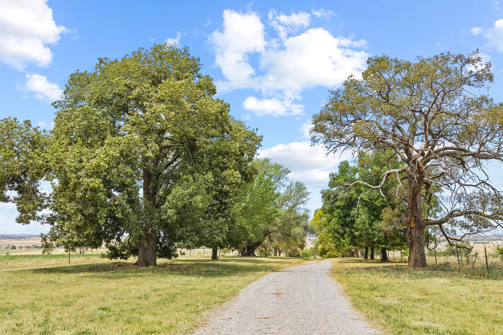 Additional image 6 of 215 Holman Road, Murrumburrah NSW 2587