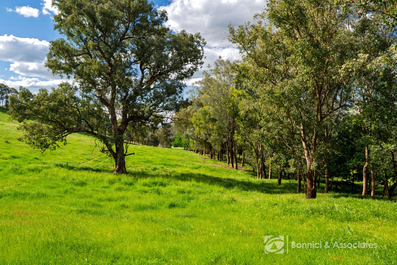 Additional image 6 of Lot 2/PS917939 Indigo Creek Road, Indigo Valley VIC 3688