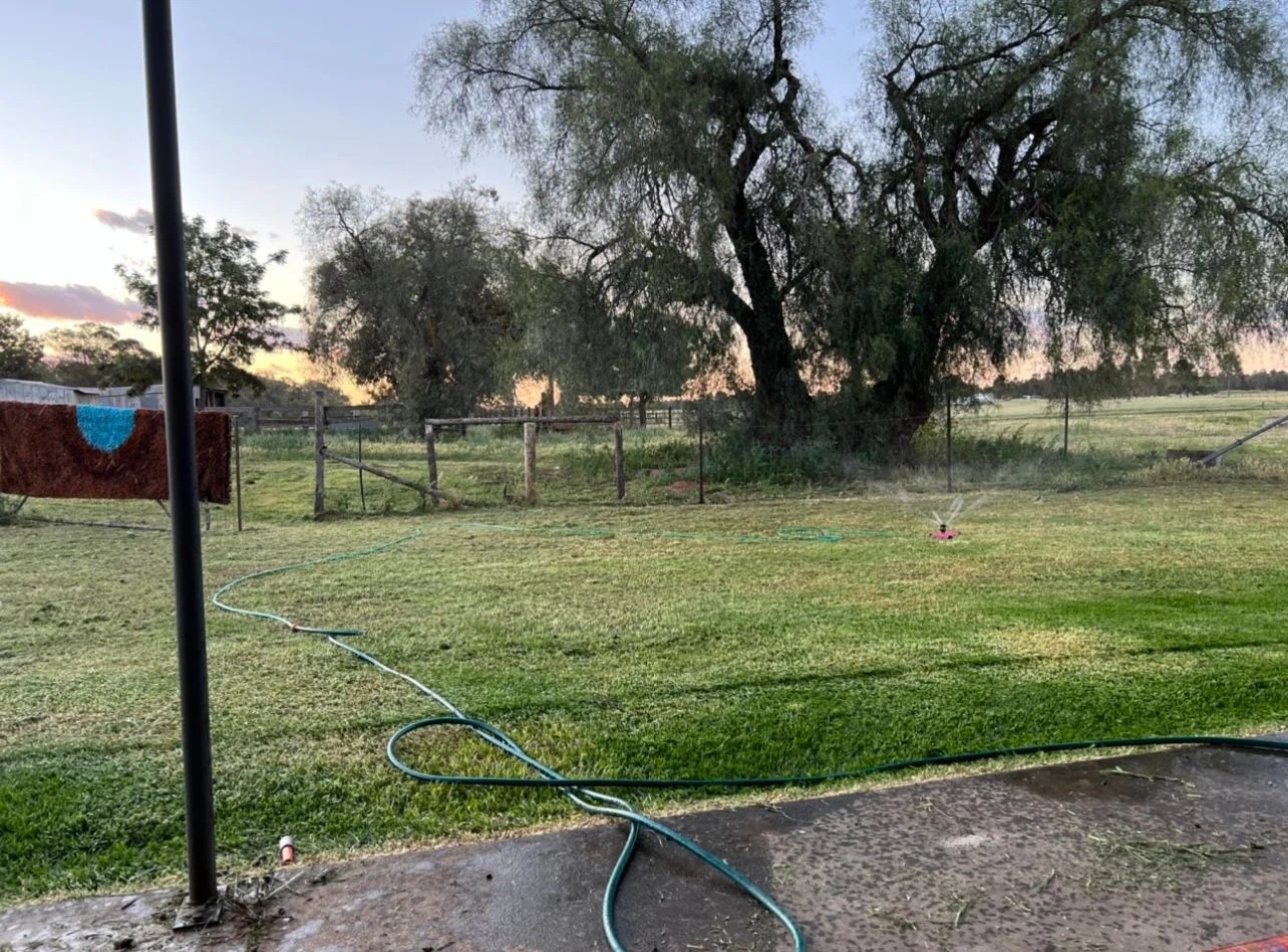 Additional image 18 of 22-24 Bidgee Street, Wagga Wagga NSW 2650