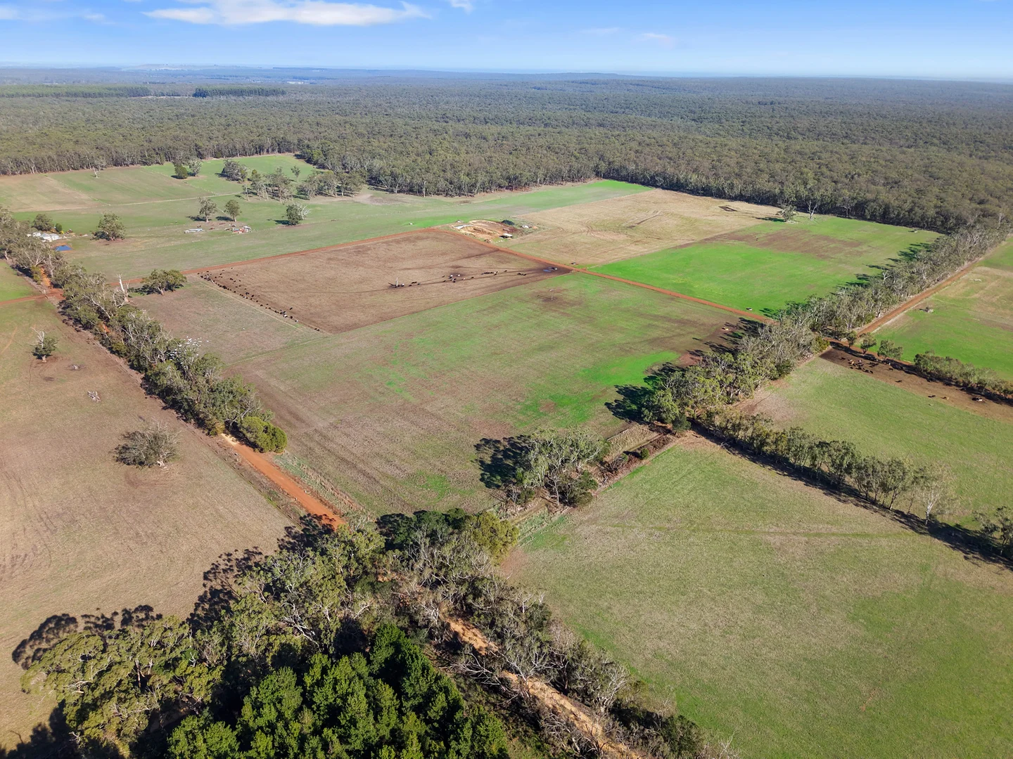 Additional image 41 of 140 Savins Road, Condah VIC 3303
