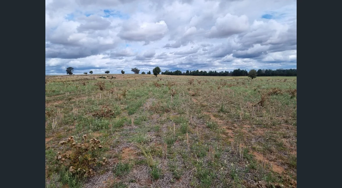 Additional image 15 of Tooraweenah NSW 2817