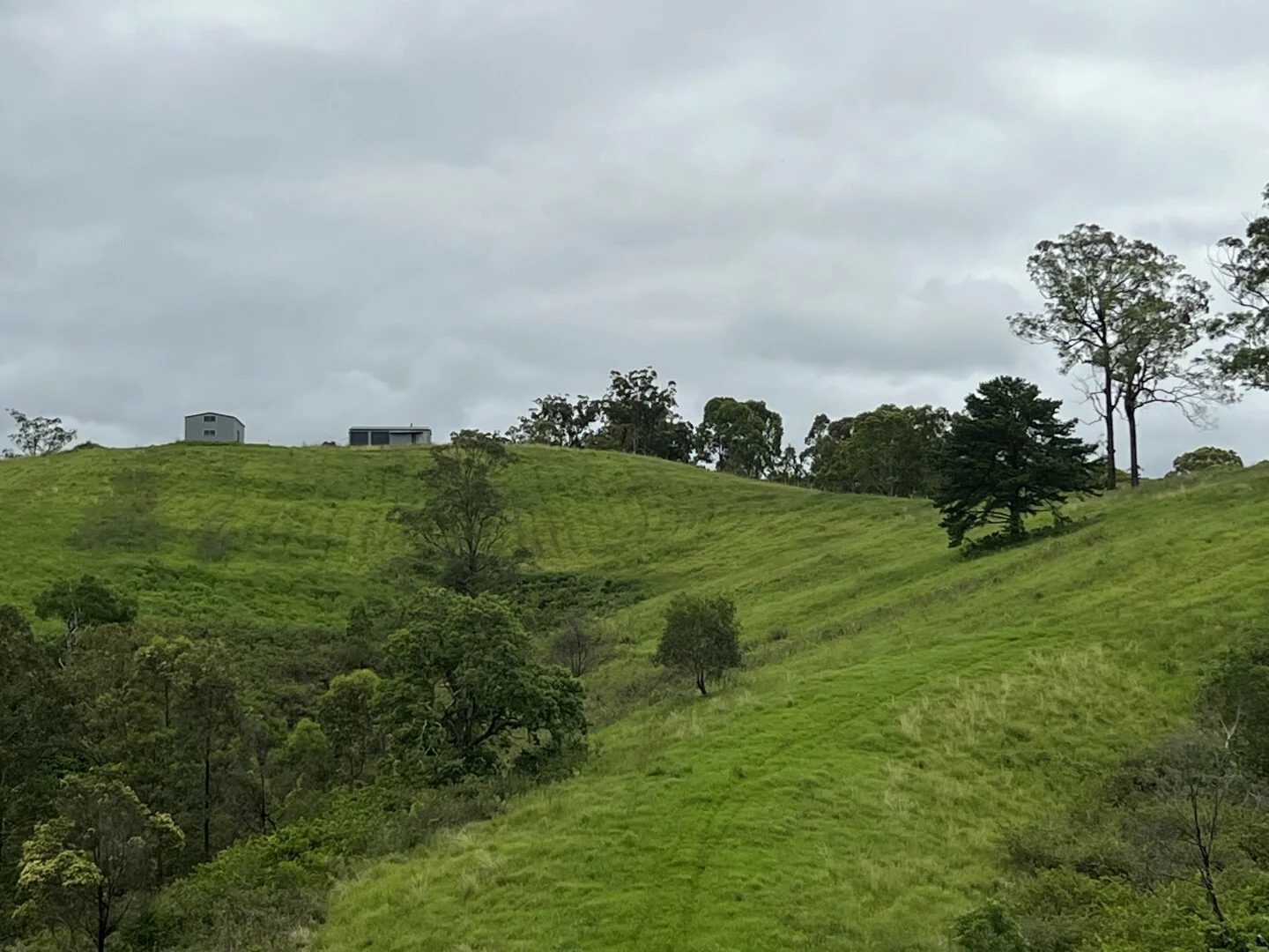 Additional image 16 of 59 Wyndham Road, Wyneden NSW 2474