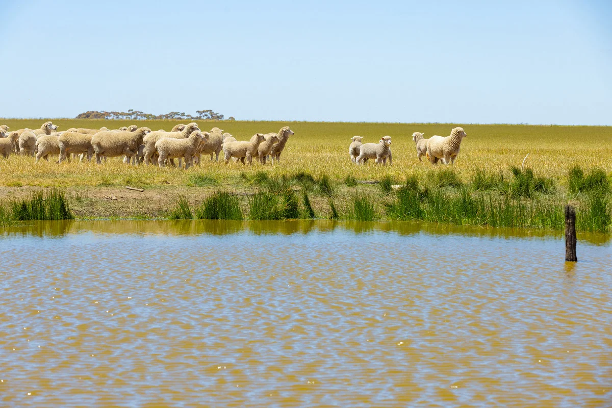 Additional image 11 of 1834 Lismore-Skipton Road, Bradvale VIC 3361