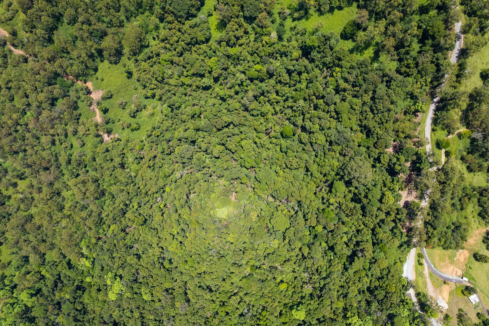 Additional image 13 of 156 Freds Road, Mount Pleasant QLD 4521