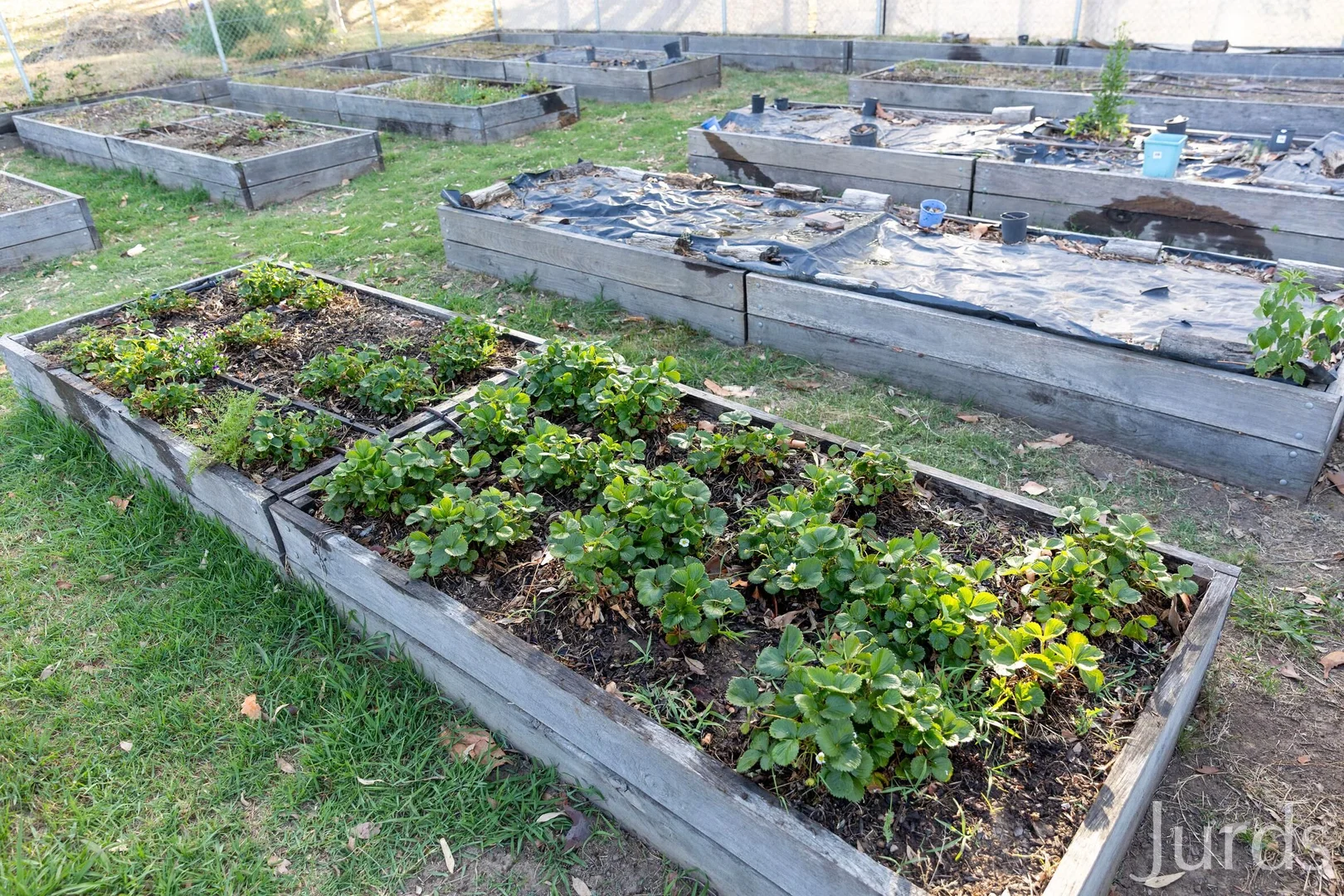 Additional image 18 of 110 Old North Road, Pokolbin NSW 2320