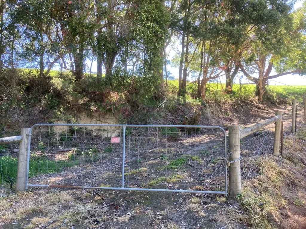 Additional image 4 of 465 Woomera Creek Rd, Toora North VIC 3962