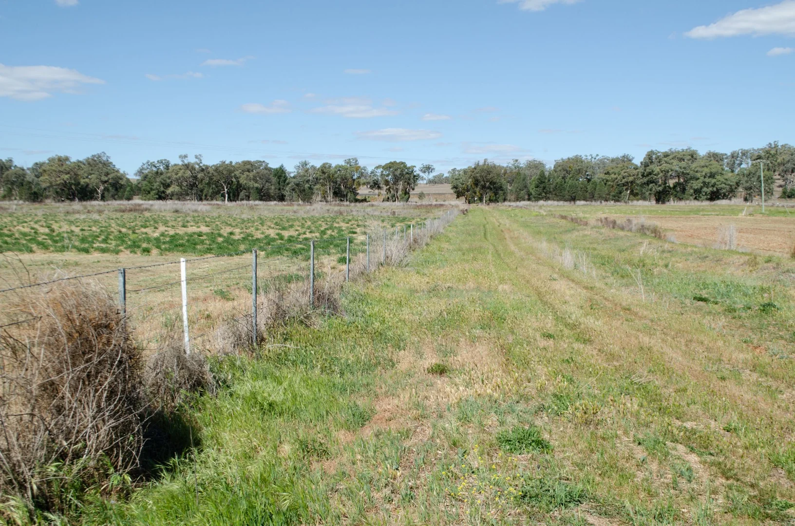 Additional image 9 of Geurie NSW 2818