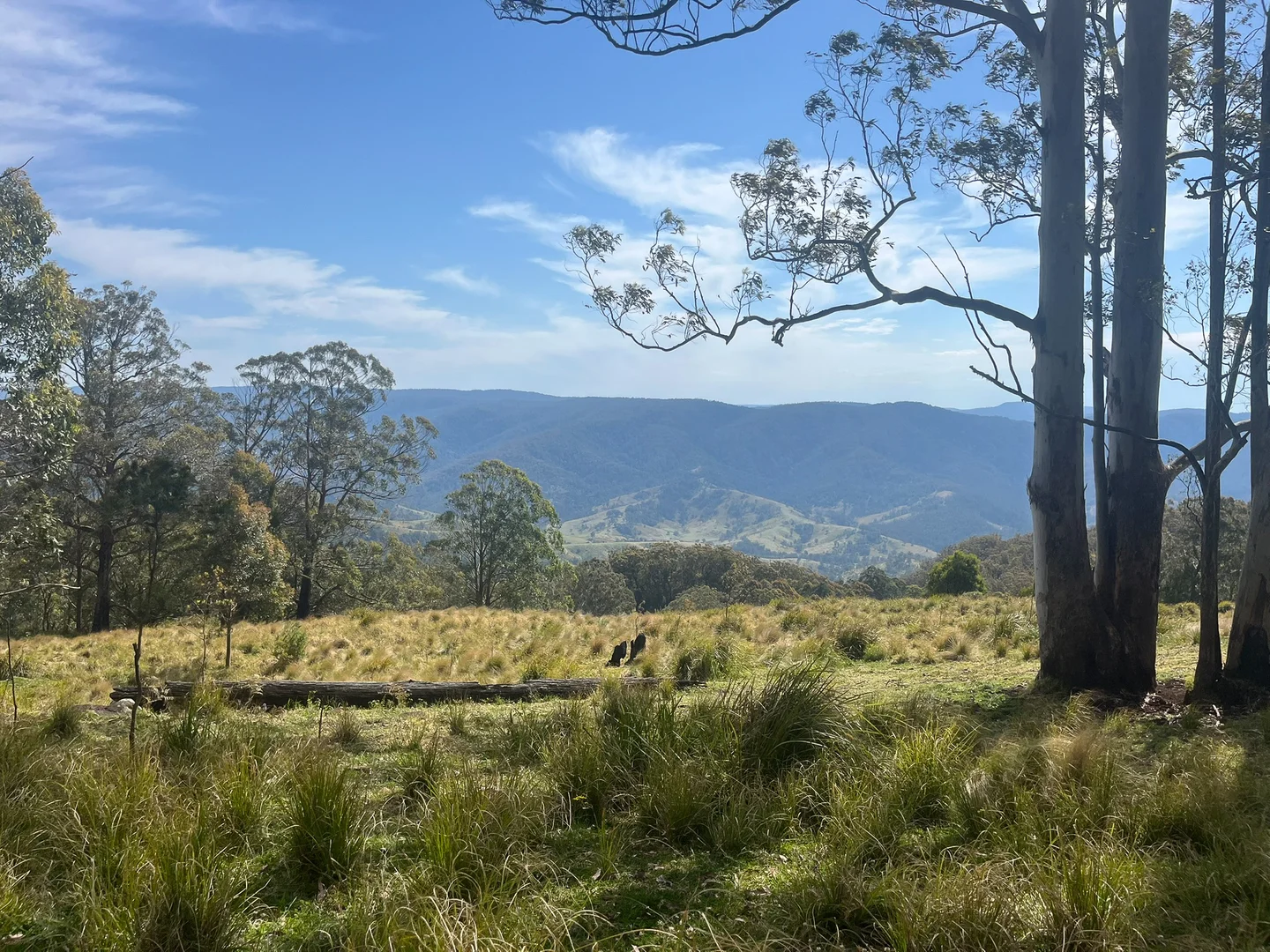 Additional image 4 of 638 Tops Road, Nowendoc NSW 2354