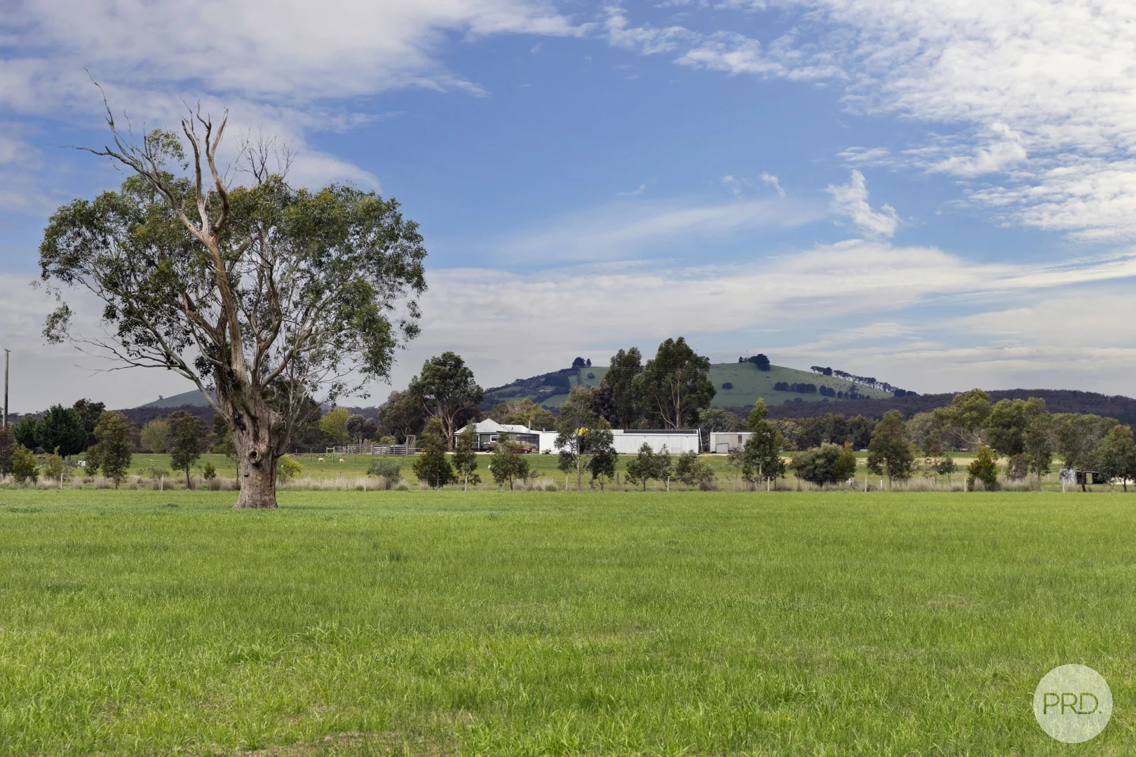 Additional image 7 of 360 Clunes-Creswick Road, Creswick VIC 3363
