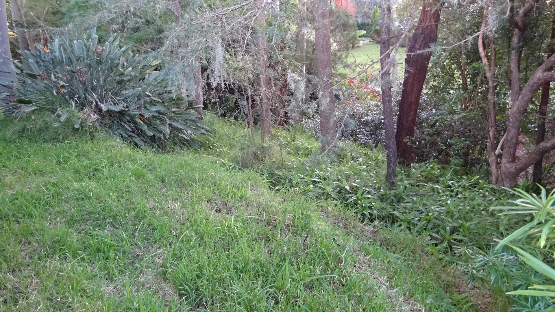 Additional image 8 of 7 Amelia Street, Carey Bay NSW 2283