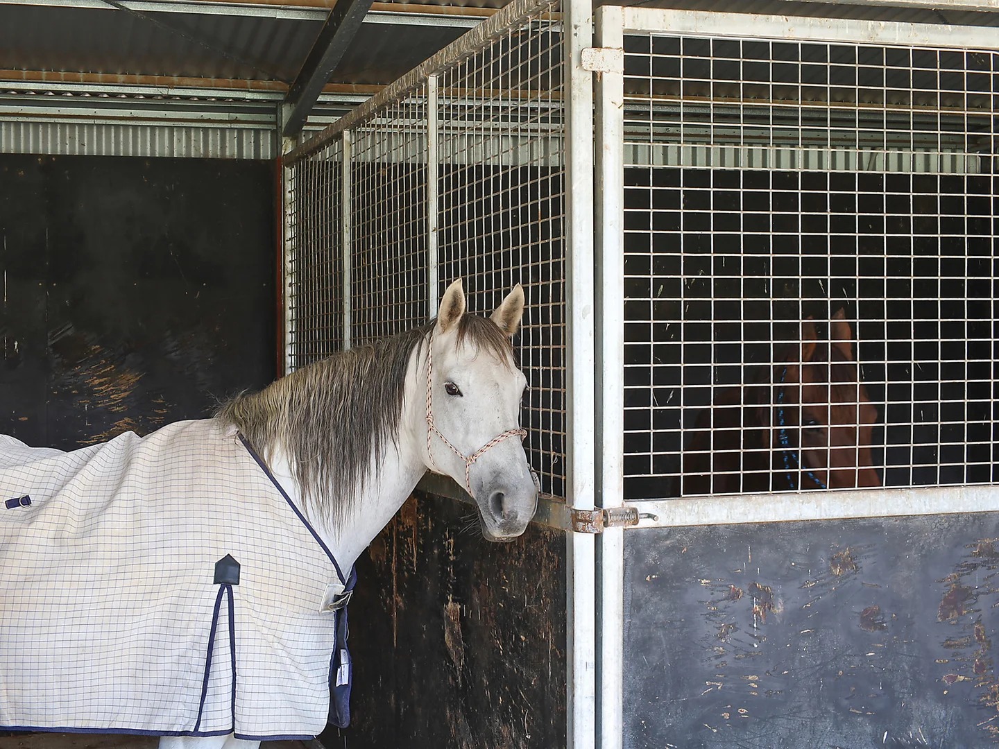 Additional image 29 of 75 McLeod Lane, Mansfield VIC 3722