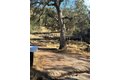 Additional image 57 of 28923 Highway 41, Coarsegold, CA, 93614