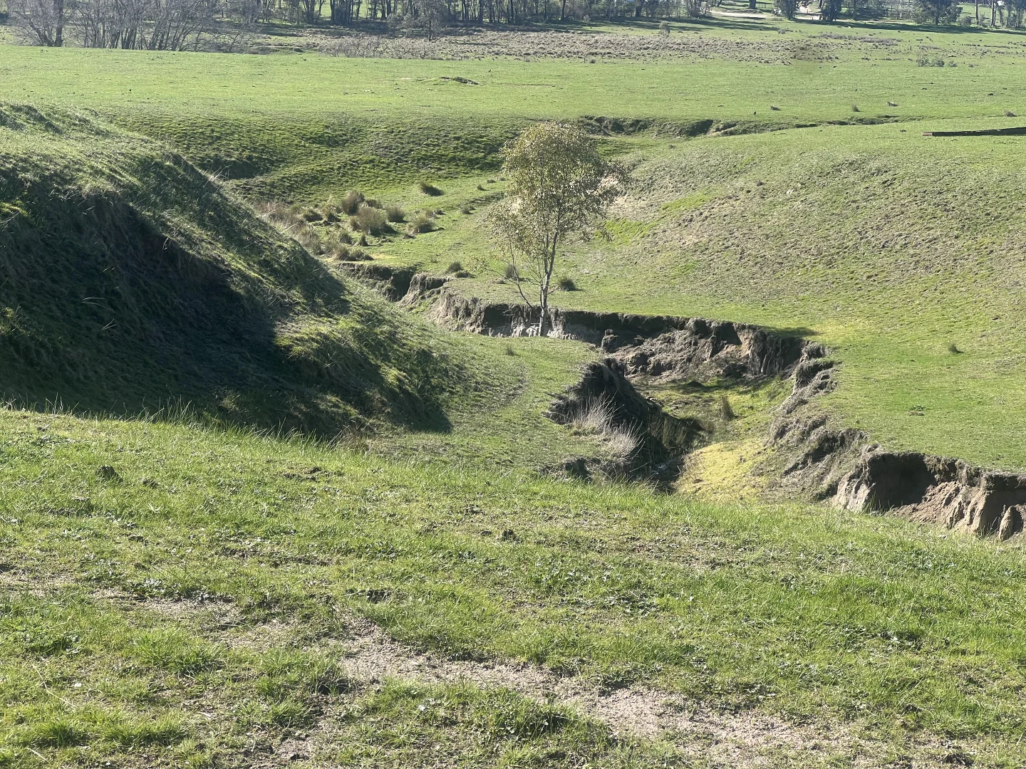 Additional image 14 of Cheesley Gate Road, Indigo Valley VIC 3688