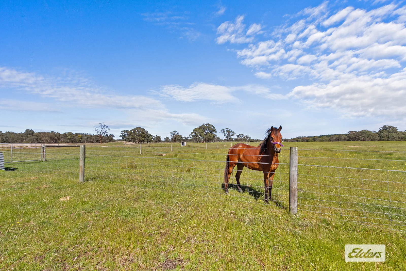 Additional image 3 of 628 Nicholls Road, Stradbroke VIC 3851