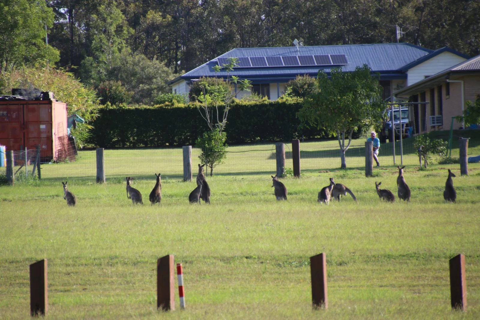 Additional image 12 of Lot Stage 8 Park Avenue, North Isis QLD 4660