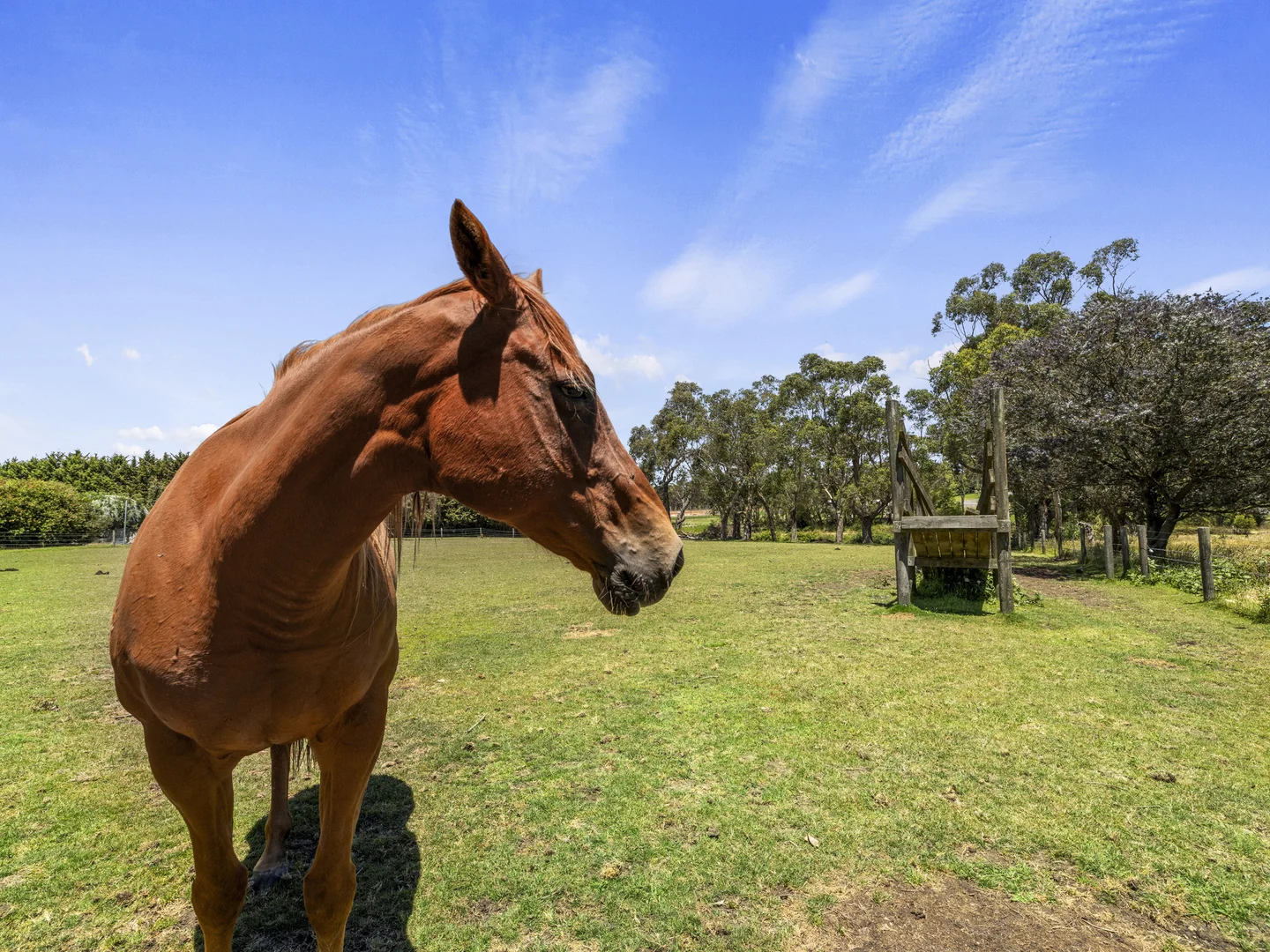 Additional image 21 of 362 Lang Lang - Poowong Road, Nyora VIC 3987