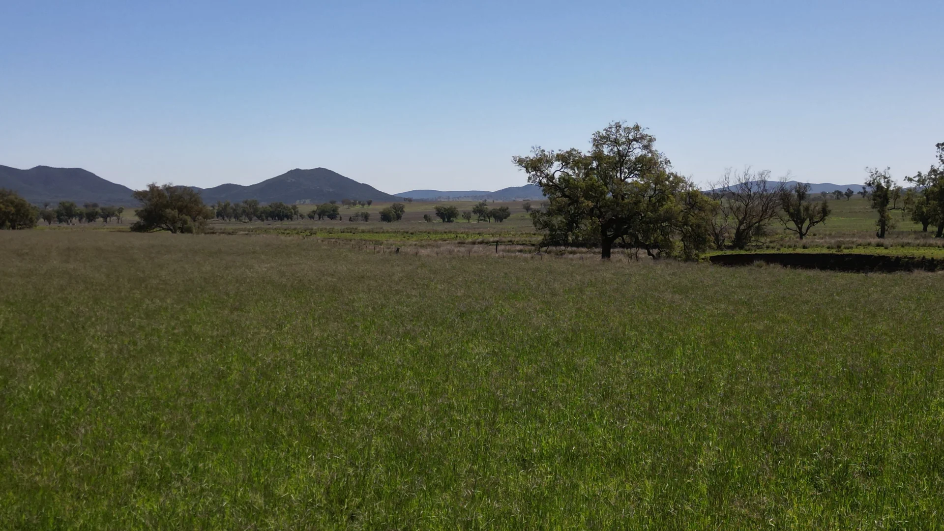 Additional image 21 of 450 Bridges Road, Gunnedah NSW 2380