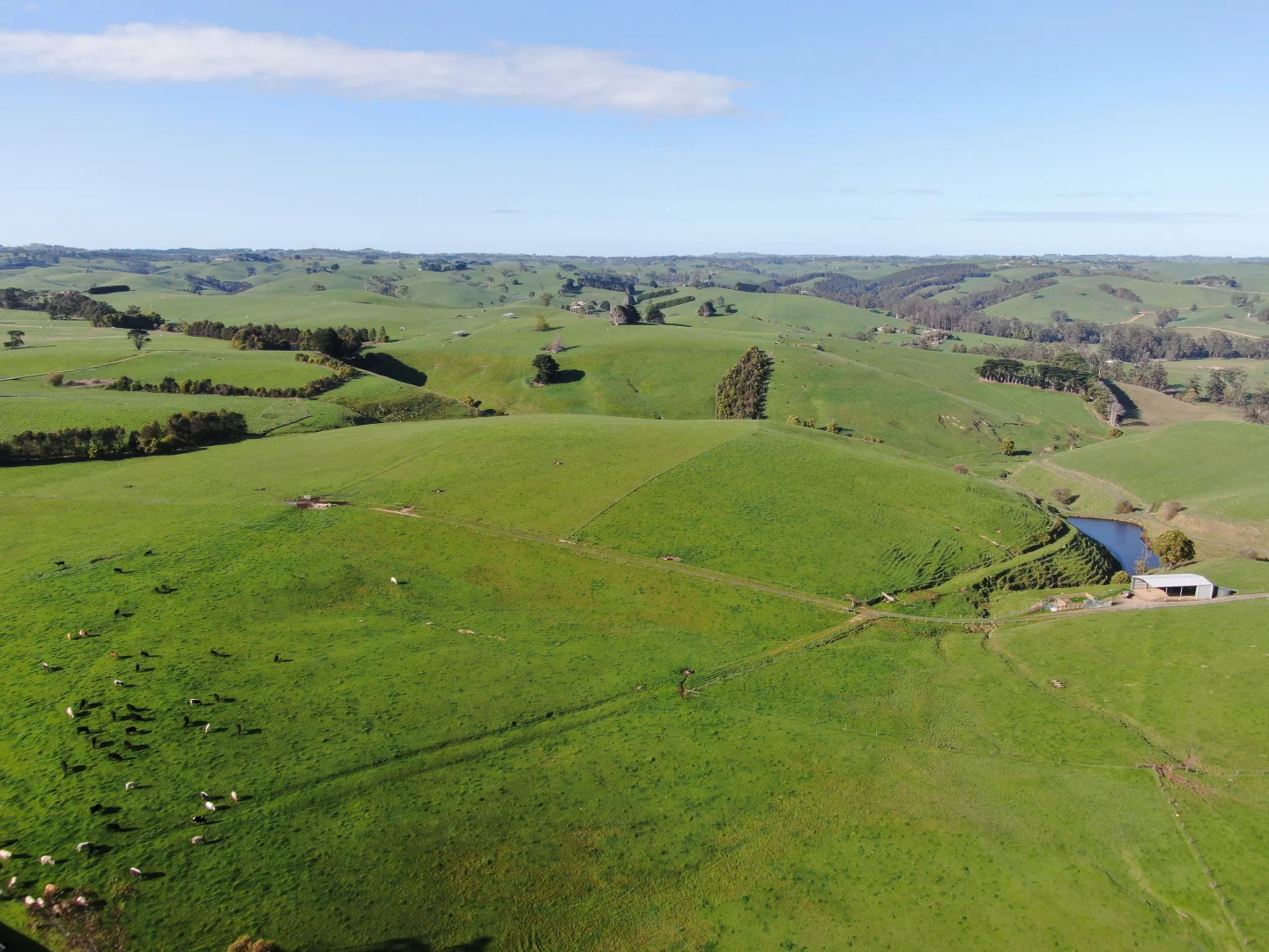 Additional image 3 of Beckett Street, Poowong VIC 3988