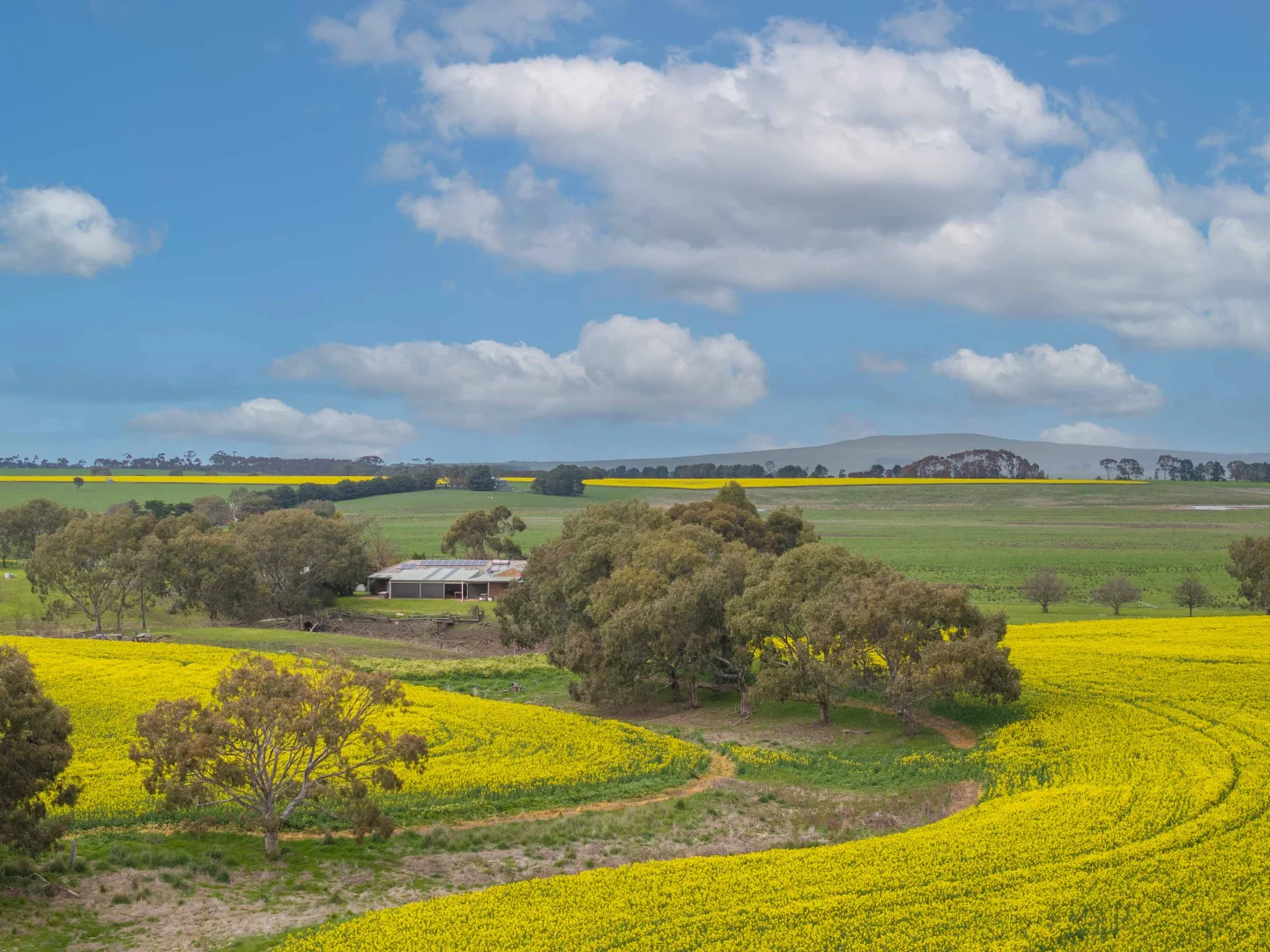 Additional image 25 of 400 Daly Road, Skipton VIC 3361