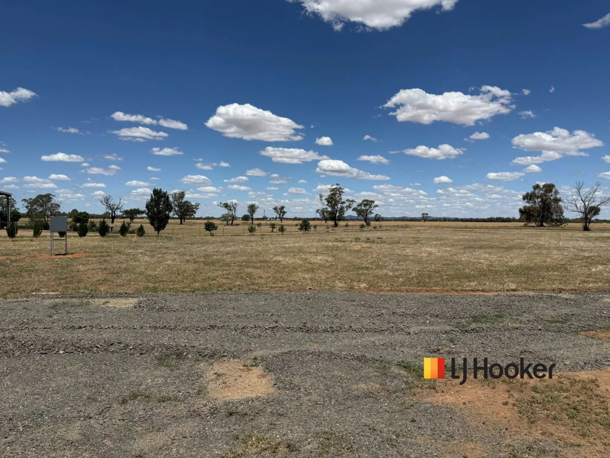 Additional image 5 of 88 McNamaras Lane, Narromine NSW 2821