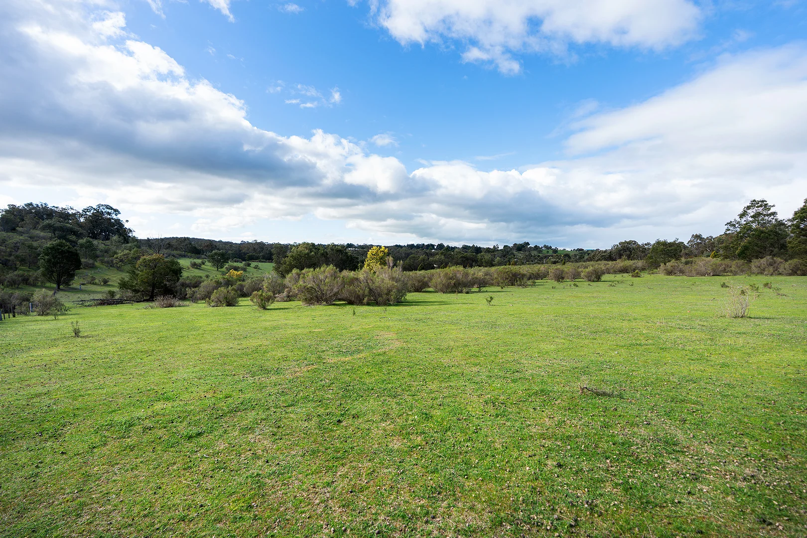 Additional image 14 of 130 Cypress Drive, Elphinstone VIC 3448