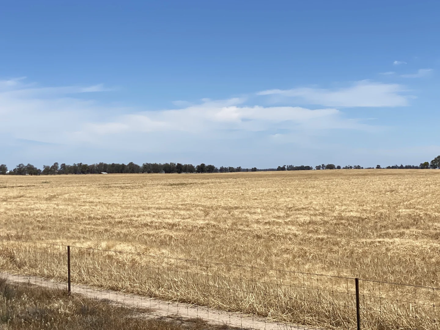 Additional image 3 of Banyena VIC 3388