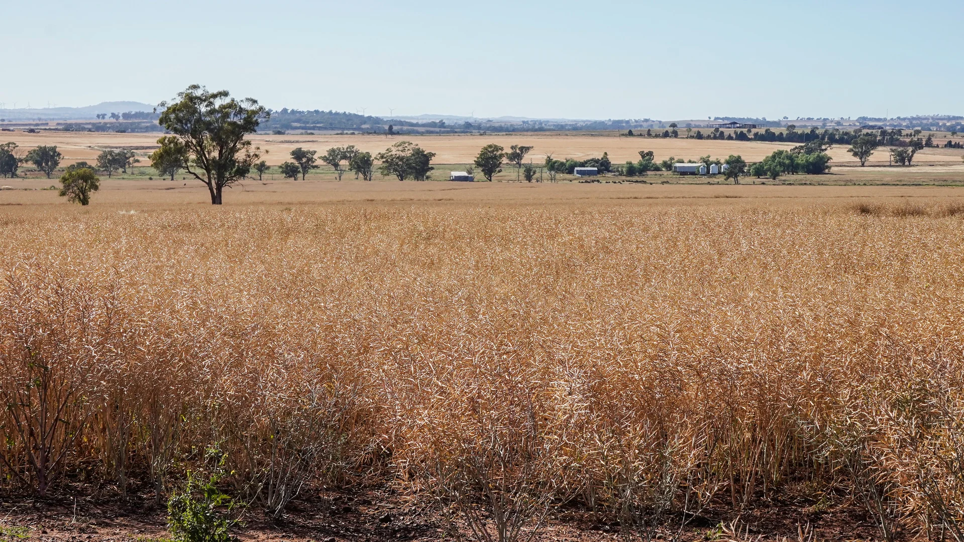 Additional image 4 of The Ranch 27R Plain Creek Road, Wongarbon NSW 2831
