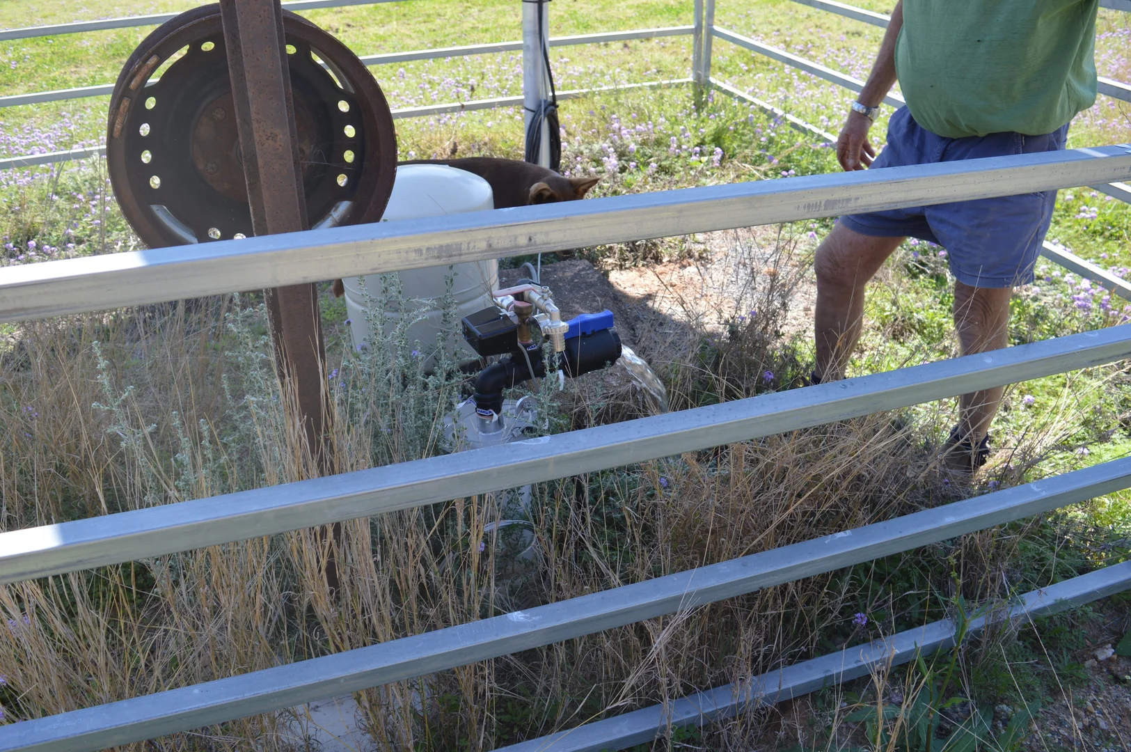 Additional image 9 of 3094 Mosquito Creek Road, Mosquito Creek QLD 4387