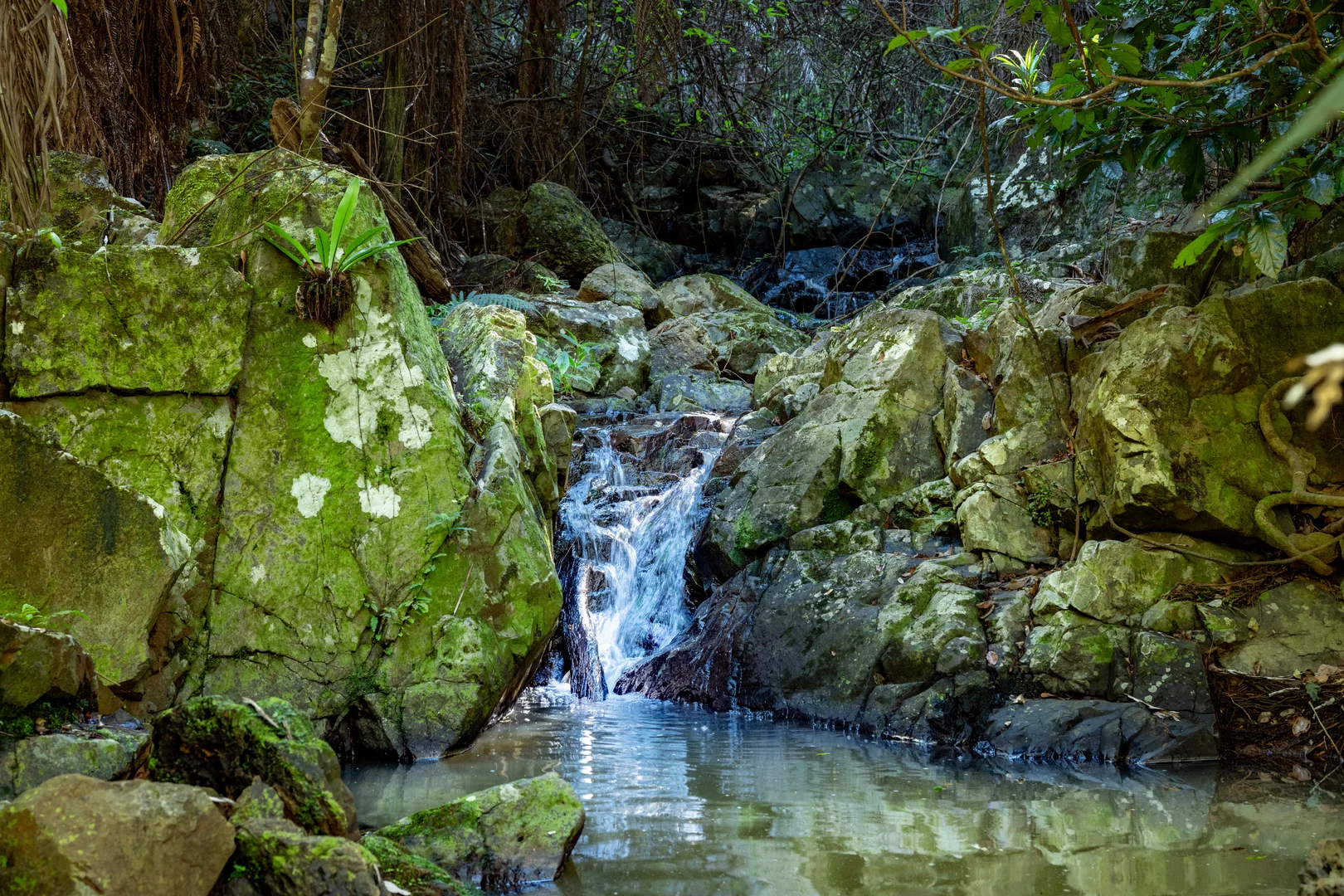 Additional image 31 of Sleepy Hollow NSW 2483