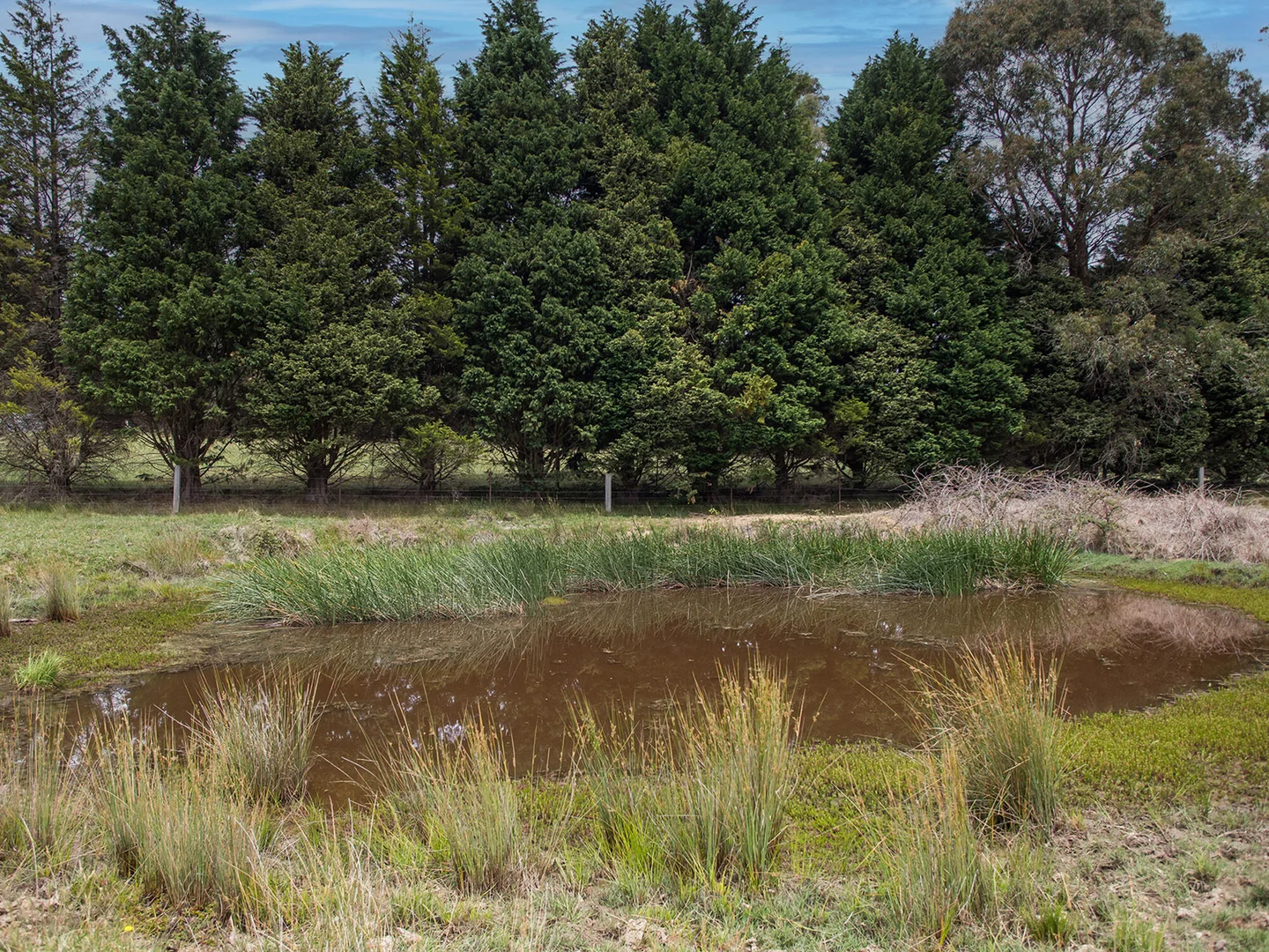 Additional image 18 of 746 Sheepwash Road, Avoca NSW 2577