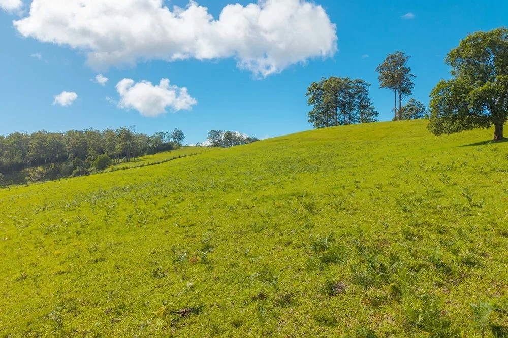 Additional image 28 of 669 Costigans Road, Yarras NSW 2446