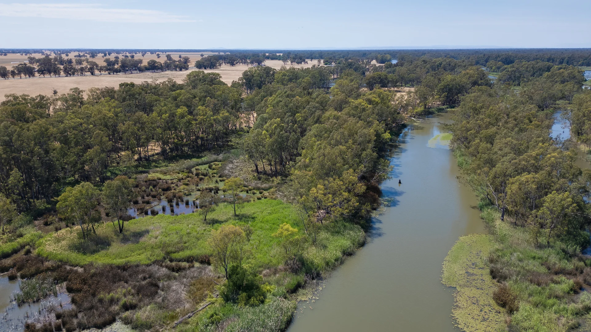 Additional image 6 of 2237 Spring Drive, Collendina NSW 2646