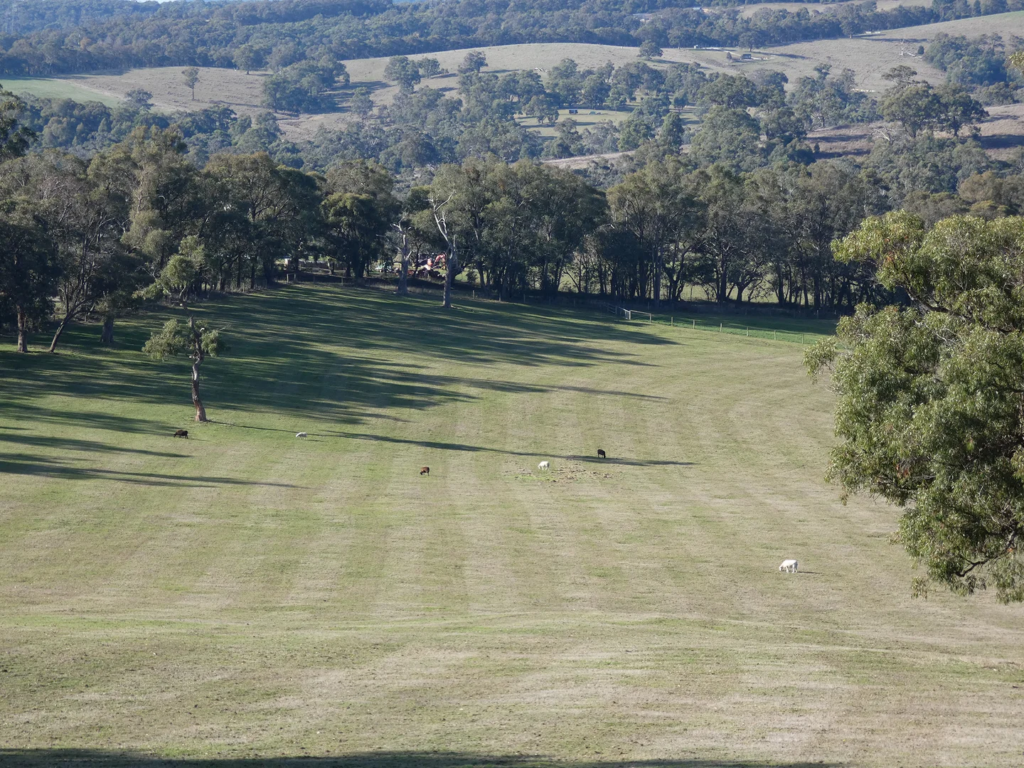 Additional image 10 of 10 Smiths Road, Yellingbo VIC 3139